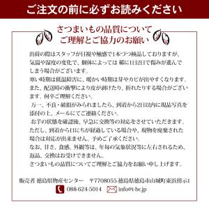 今季収穫分さつまいも なると金時 3kg 秀品...の詳細画像4