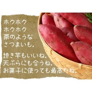 2026年夏収穫 販売開始 さつまいもなると金...の詳細画像5