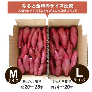 [今季販売終了]さつまいも なると金時 トップ...の詳細画像1