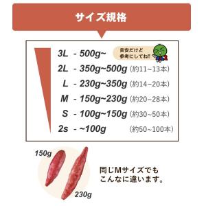 [今季販売終了]さつまいも なると金時 トップ...の詳細画像2