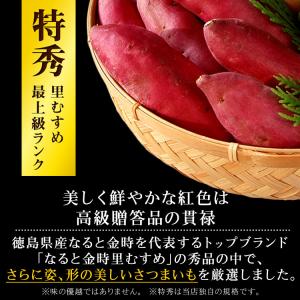 [今季販売終了]さつまいも なると金時 トップ...の詳細画像3