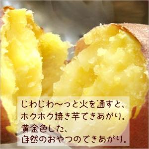 [今季販売終了]さつまいも なると金時 トップ...の詳細画像4