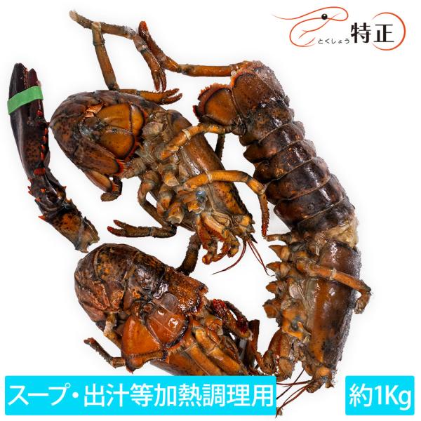 スープ／出汁用オマール海老 約1Kg