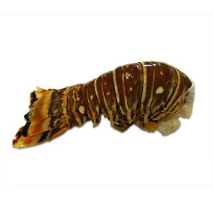 特正 天然スパイニーロブスターテール 無頭えび Yahoo ショッピング