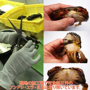 ソフトシェルクラブ 一匹(約48g/匹)の詳細画像2