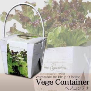 Vege container ベジコンテナ　【レタス】　GD333-03　簡単に野菜の栽培が楽しめる♪｜tokutokutokiwa