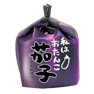 ミニナス栽培セット　私はおたんこ茄子　GD-432｜tokutokutokiwa