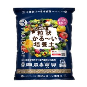 tokutokutokiwa_4535885245261