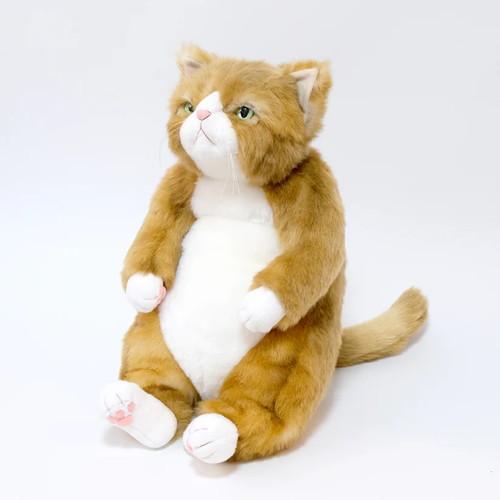 Cuddly カドリー  わさ美 金茶(約45cm 約650g) ソメゴローとゆかいな仲間たち 猫ぬ...