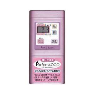 ヒロセ電機 世界最小 4000Hz干渉波EMS Perfect4000 パーフェクト4000 NPH-P4｜tokutokutokiwa