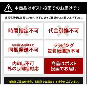 【ポスト投函便 同梱発送不可】ヤザワ 海外用電...の詳細画像2