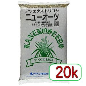 tokutokutokiwa_4971852840303-20