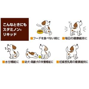 チョイスプラス スタミノンリキッド 40gの詳細画像2