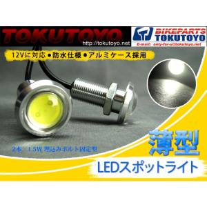 LEDスポットライト 2本x1.5W ボルト型 アルミ銀 白 防水 TOKUTOYO(トクトヨ)