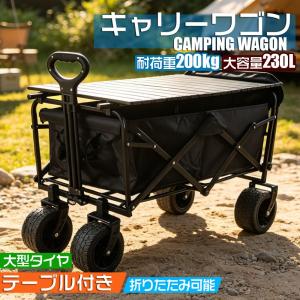 キャリーワゴン ブレーキ付き 大容量 長物対応 三段階調節ハンドル