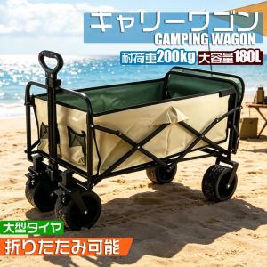 キャリーワゴン ブレーキ付き 大容量 長物対応 三段階調節ハンドル