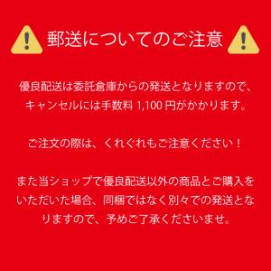 フェザー 特選両刃 オールステンレスレザーN ...の詳細画像4