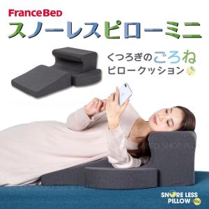 フランスベッド（FRANCEBED） いびき対策枕 スノーレスピローミニ