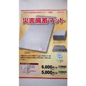 ニッケ 災害備蓄用 難燃性不織布毛布 (コンパクトタイプ) 10枚