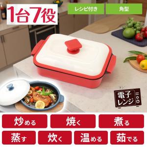 電子レンジ専用調理器 レンジ 調理 魚焼き プレート 焼き魚 レンジ調理器 レンジで焼き魚 レシピ 波型 時短 料理 焼き目 魚 器具 時短調理 ギフト 蒸し器