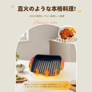 電子レンジ専用調理器 レンジ 調理 魚焼き プ...の詳細画像2