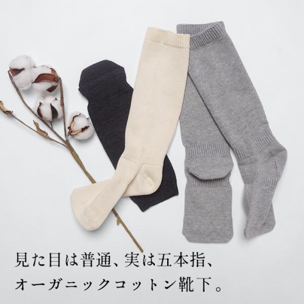 五本指靴下 日本製 レディース 五本指ソックス オーガニックコットン 不思議な 5本指 靴下 rak...