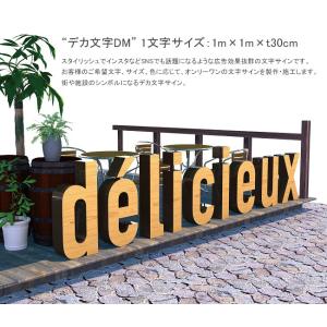 商業用文字サイン】デカ文字DM（アルファベット）仕様：50cm50cm×厚み