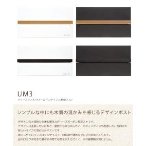 【メンテナンス用品プレゼント中】商品名：UM3（ディーズポスト ウオールインタイプ-UMタイプシリーズ）【ディーズガーデン正規販売代理店 郵便受け】｜tokyo-gardening