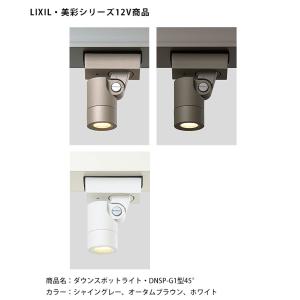 LIXIL（リクシル） 美彩 スパイクスポットライト SSP-G2型 45° 8VLK08