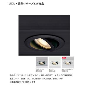 LIXIL（リクシル） 美彩 スパイクスポットライト SSP-G1型 45° 8VLK06