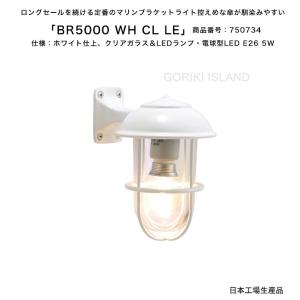 BR5000 WH CL LE（色：WH）商品番号：750734/仕様：ホワイト仕上げ、クリアガラス＆LEDランプ・電球型LED E26 5W ゴーリキアイランド社製（日本生産）｜tokyo-gardening