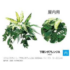 リフェイクグリーン 「下草シダアレンジA」サイズ：H450mm（リーフ3.5〜22cm）品番：A70...