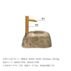 庭 庭園 銭型つくばいセット(循環式) 50Hz GLOBEN グローベン 日本