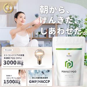 PQQ サプリ 高配合3000mg 純度99%...の詳細画像1