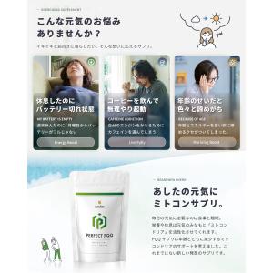 PQQ サプリ 高配合3000mg 純度99%...の詳細画像3