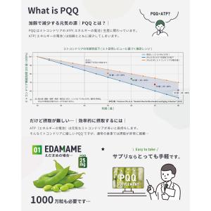 PQQ サプリ 高配合3000mg 純度99%...の詳細画像4
