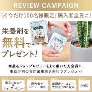 【販売実績10,000個突破】栄養剤 ハイドロ...の詳細画像1