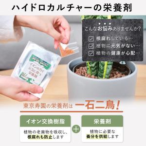 【販売実績10,000個突破】栄養剤 ハイドロ...の詳細画像4