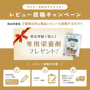【販売実績10,000個突破】 観葉植物 選べ...の詳細画像2