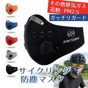 防塵マスク PM2.5 ほこり ハウスダスト 活...の商品画像