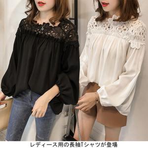レディース シフォン 長袖Tシャツ レース襟 女性用 カット...