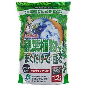 自然応用科学 観葉植物がまくだけで甦る 1.2L