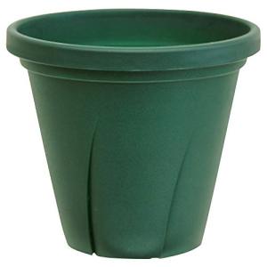 ダークグリーン 大和プラスチック 根はり鉢 5号 1L