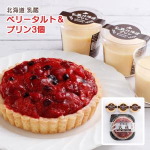 プリン タルト 乳蔵 北海道 ミックスベリータルト・プリン 産地直送 江戸屋 送料無料 ギフト 中元 歳暮 冷凍｜tokyo-syusui