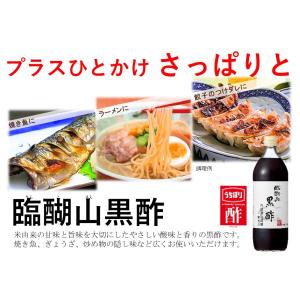 健康酢 黒酢 内堀 臨醐山黒酢 900ml 6...の詳細画像2