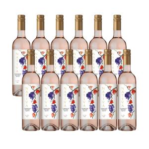 ワイン ナティバ カルメネール ナチュラルホワイト 白ワイン 辛口 チリ 750ml 12本 取り寄せ品 送料無料｜tokyo-syusui