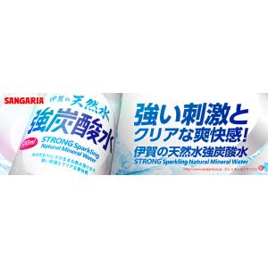 炭酸水 サンガリア 伊賀の天然水 強炭酸水 5...の詳細画像1