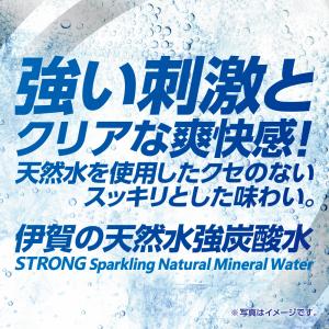 炭酸水 サンガリア 伊賀の天然水 強炭酸水 5...の詳細画像3