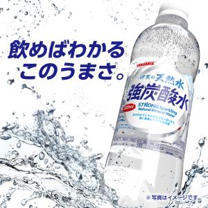 炭酸水 サンガリア 伊賀の天然水 強炭酸水 5...の詳細画像4