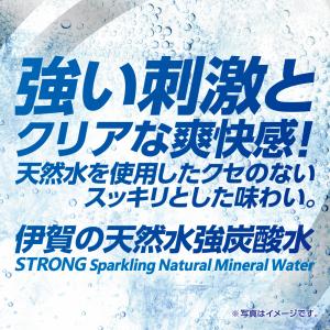 炭酸水 サンガリア 伊賀の天然水 強炭酸水 レ...の詳細画像3